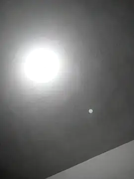 Snapshot of checheludo23 chatting on 02.25.26 checheludo23 online show from 02.25.26