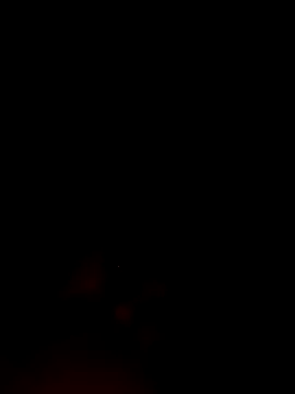 ShavenScope24 online show from 12.01.25