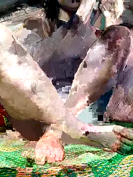 Snapshot of -Kem-01 chatting on 12.05.25 -Kem-01 online show from 12.05.25