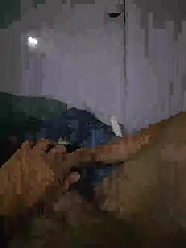 shainnfk online show from 03.01.26