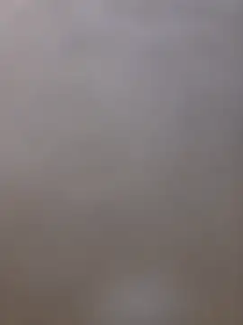 shainnfk online show from 03.05.26