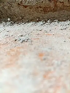 Rajni chauhan online show from 11.02.25