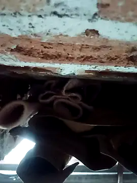 Rajni chauhan online show from 02.01.26