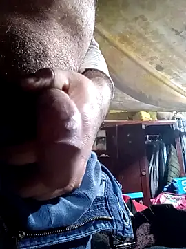 Cogelonregio online show from 02.05.26