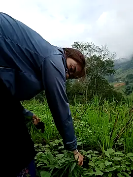 omai-ngot online show from 10.26.25