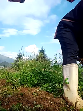 nui-show online show from 11.16.25