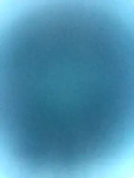 tabby-cat11 online show from 02.19.26