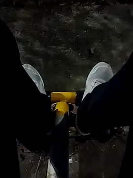 roludao fun online show from 12.19.25