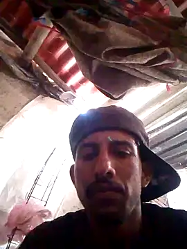 Orlao25cm online show from 10.20.25