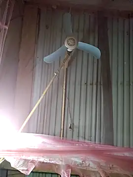 Snapshot of Squirrel-Pear chatting on 12.04.25 Squirrel-Pear online show from 12.04.25