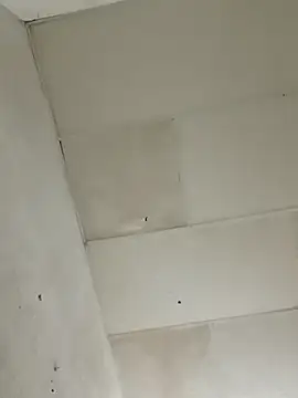 Snapshot of chikis12_ chatting on 11.22.25 chikis12 online show from 11.22.25