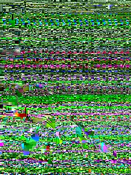 Dev2k22 online show from 12.17.25