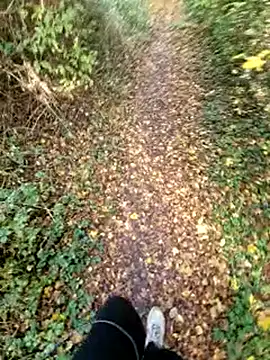 bbyxklaus online show from 11.09.25