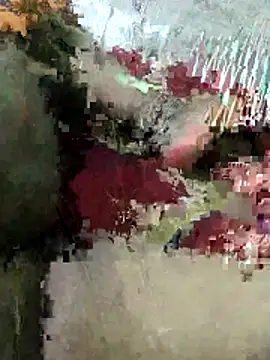 sexy 6hvhhh online show from 10.26.25