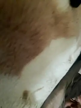 Snapshot of Perfect_size chatting on 11.20.25 Perfect size online show from 11.20.25