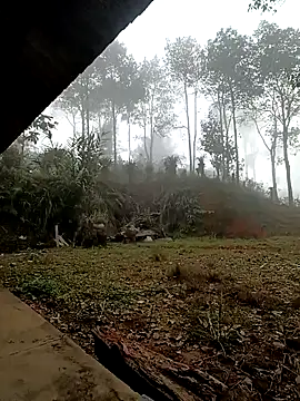 Snapshot of sowbibi chatting on 12.15.25 sowbibi online show from 12.15.25