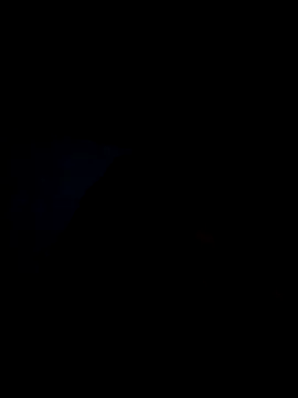 rickkis2k online show from 03.25.26