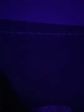 Gia Atkinson online show from 10.24.25