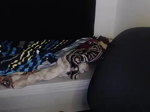 Negritatata online show from 11.28.25