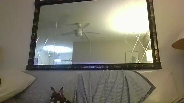 KosherCo313 online show from 11.23.25