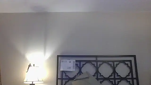 Snapshot of KosherCo313 chatting on 07.20.26 KosherCo313 online show from 07.20.26