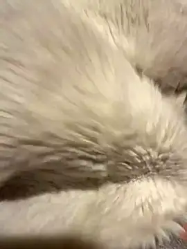 Jackoff2345 online show from 10.26.25