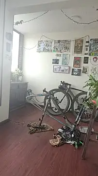 Neciaa online show from 04.08.26