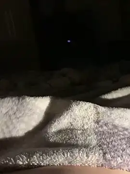 bfelipedasilva online show from 11.01.25