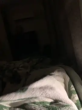 bfelipedasilva online show from 11.06.25