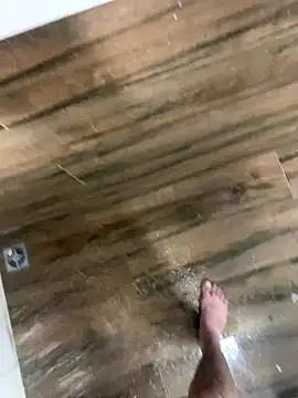 bfelipedasilva online show from 12.04.25