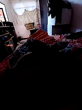 pequenohomem online show from 06.23.26