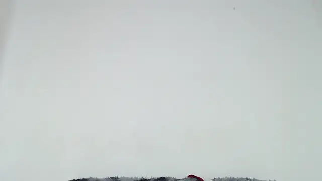 Mia fox29 online show from 10.31.25