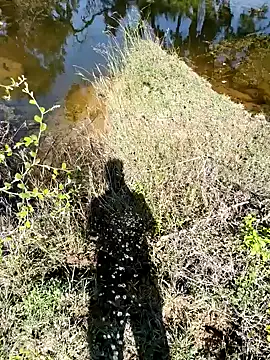 devil boy 0909 online show from 11.07.25