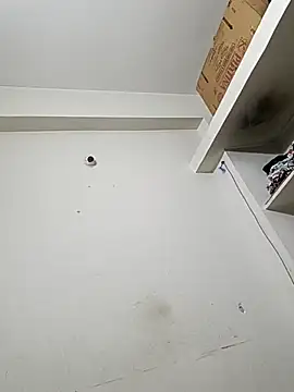 bigtelugubhama online show from 12.14.25