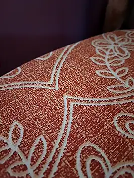 Snapshot of Laal_Parilove chatting on 11.16.25 Laal Parilove online show from 11.16.25