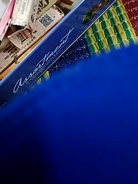 Snapshot of Laal_Parilove chatting on 11.29.25 Laal Parilove online show from 11.29.25