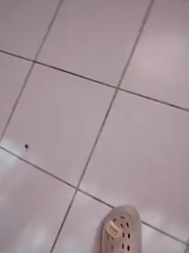 Snapshot of HomeyVending chatting on 11.11.25 HomeyVending online show from 11.11.25