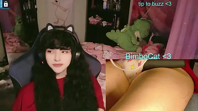 BimboCat online show from 06.13.26