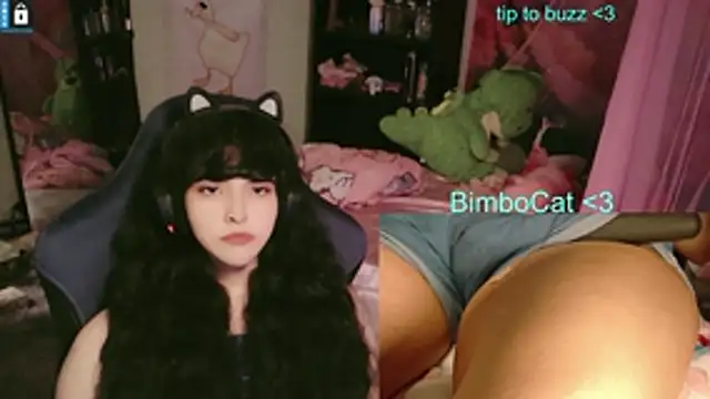 BimboCat online show from 06.14.26