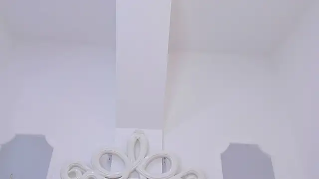 roxana scott1 online show from 04.24.26