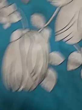 Snapshot of Haryanvi_sanju chatting on 03.15.26 Haryanvi sanju online show from 03.15.26