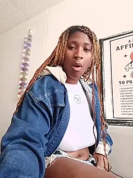 Snapshot of EvonyFoxxx chatting on 08.01.26 EvonyFoxxx online show from 08.01.26