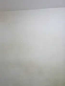 Snapshot of negramenta chatting on 01.15.26 negramenta online show from 01.15.26