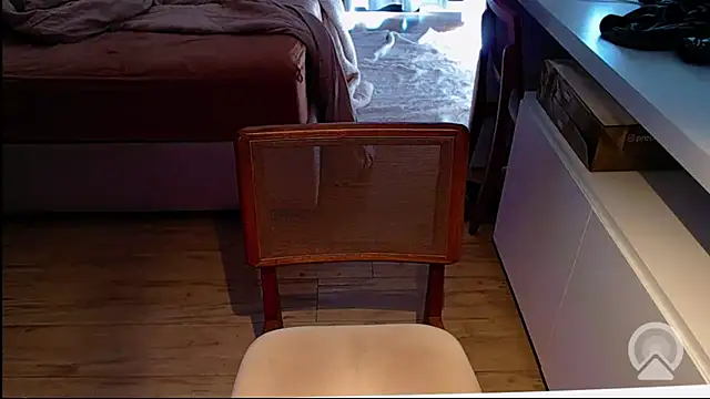 Snapshot of Professor__Discreto chatting on 07.02.26 Professor Discreto online show from 07.02.26
