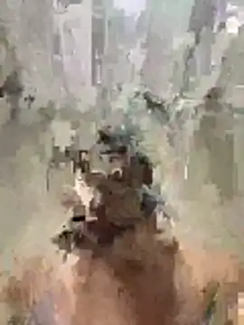 Pirocao 777 online show from 03.16.26