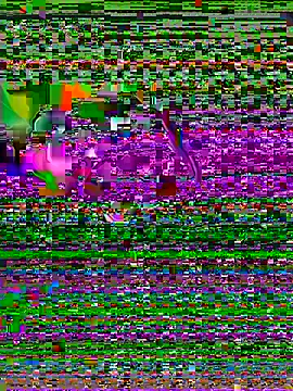 yuu tooo online show from 06.15.26