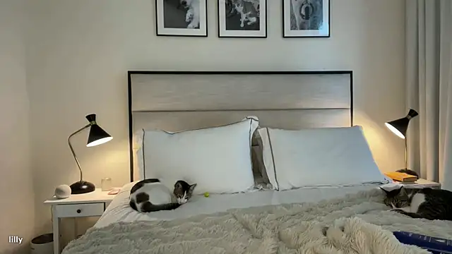 Snapshot of Itslillybloom chatting on 11.07.25 Itslillybloom online show from 11.07.25