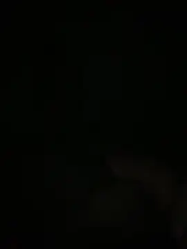 Manfredini607452 online show from 11.18.25