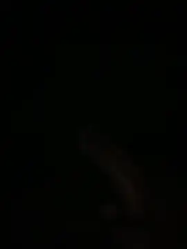 Manfredini607452 online show from 02.04.26