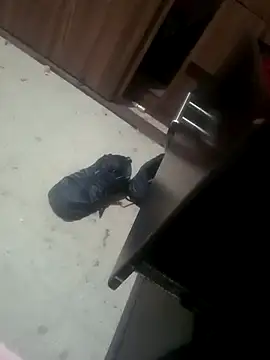 Snapshot of Yerackhip chatting on 01.17.26 Yerackhip online show from 01.17.26